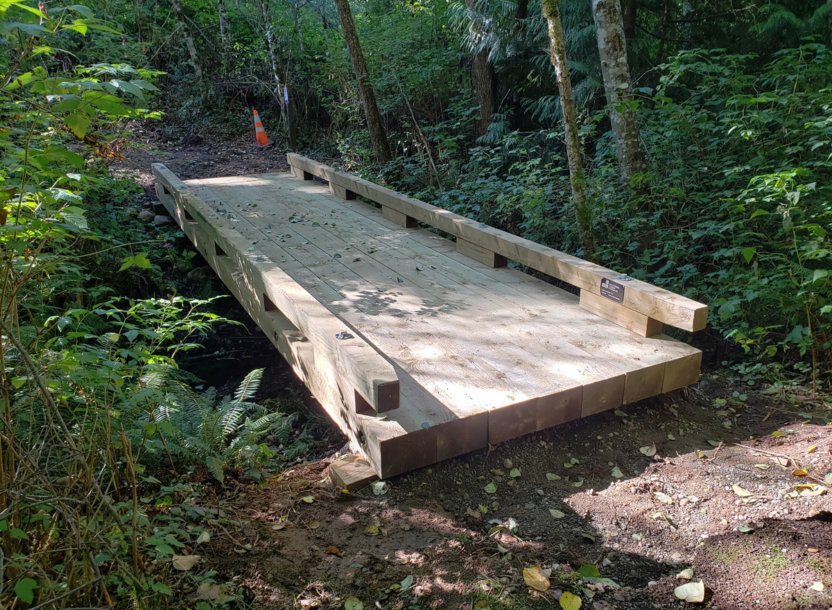 foot bridge made of Pacific HemFir in the forest