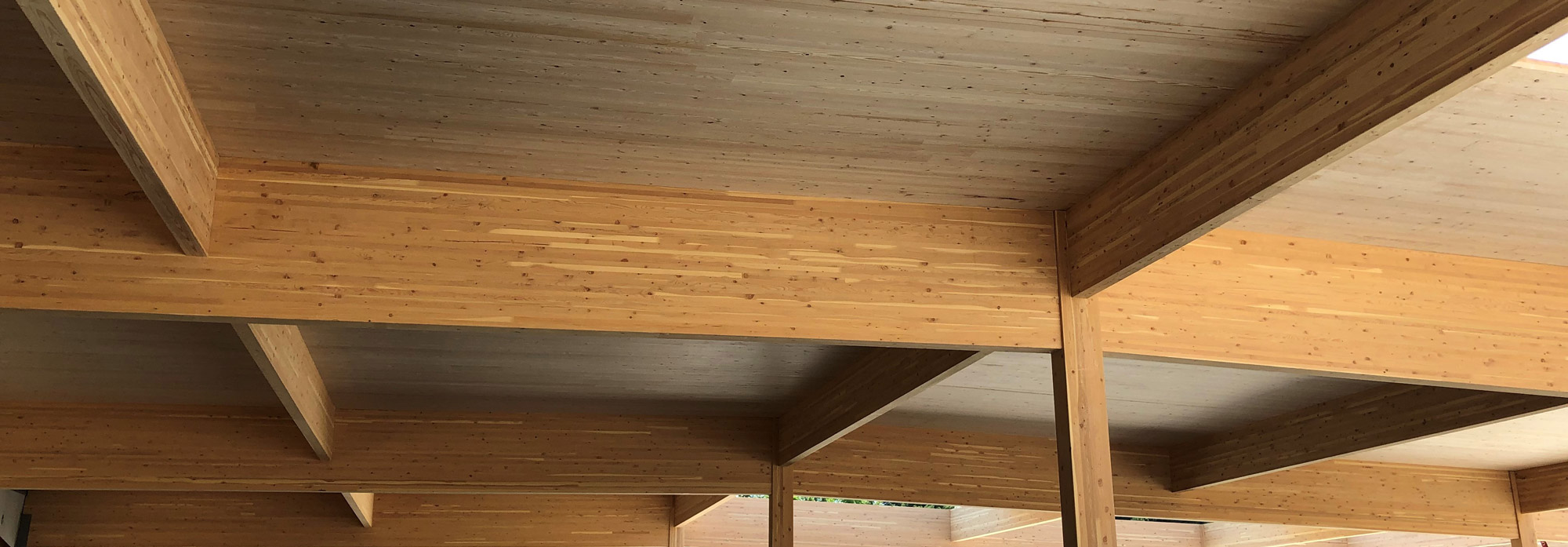 Pacific HemFir Timbers and ceiling