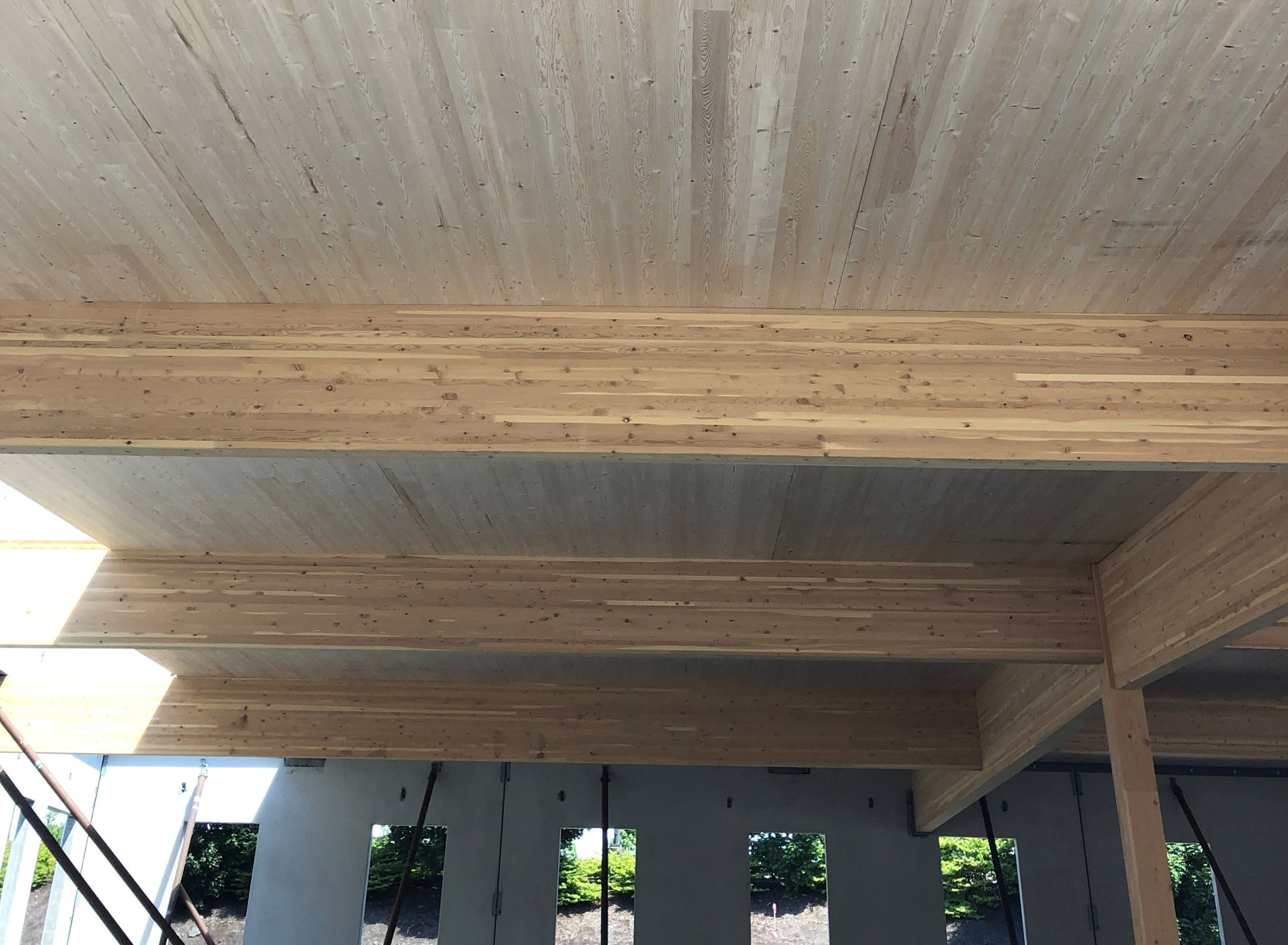 Pacific HemFir Ceiling with large structural timbers